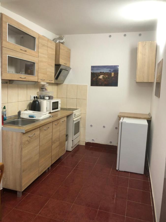 Penzion Duong Apartments Karlovy Vary Extérieur photo